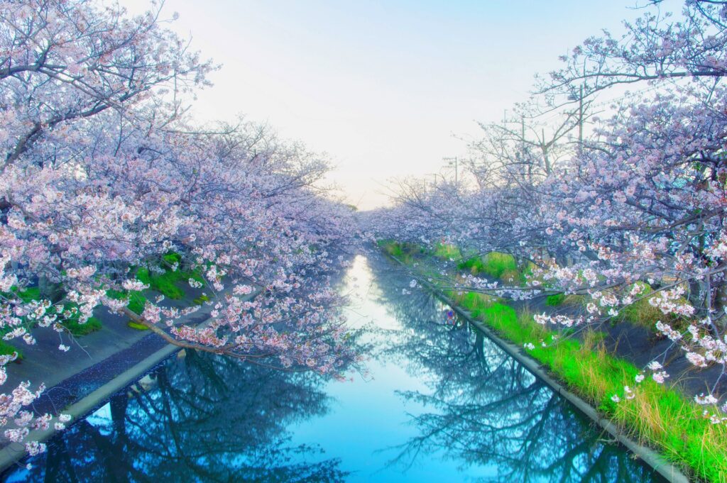 渡邉 一矢によるPixabayからの画像
