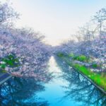 渡邉 一矢によるPixabayからの画像