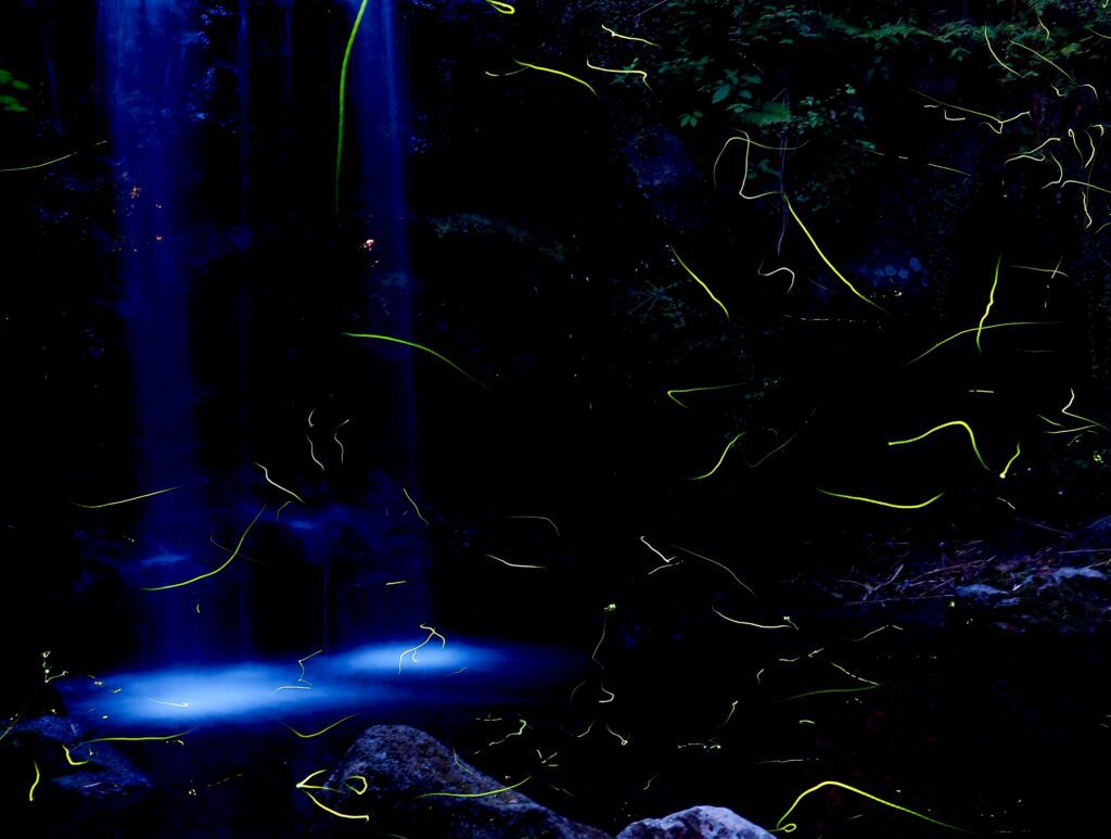 UnsplashのKazuo otaが撮影した写真
